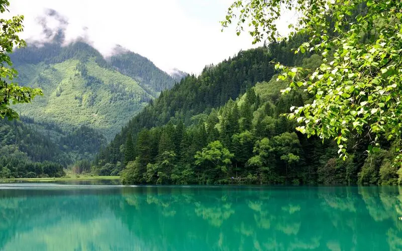 高性能高端节能